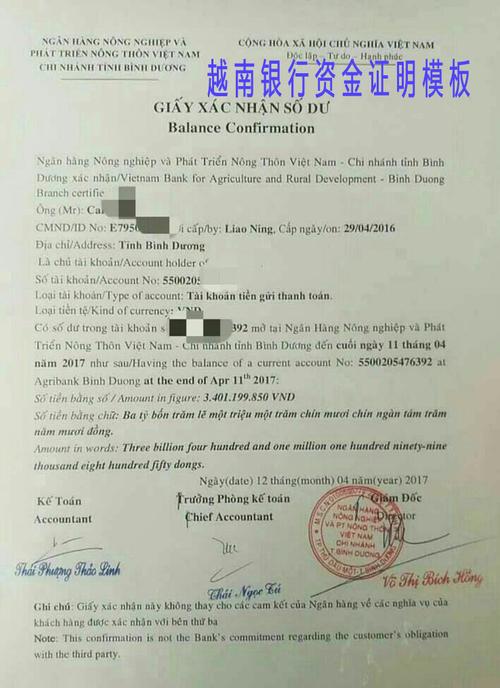 注册越南公司 越南分公司 代表处注册 商标注册 代理记账报税